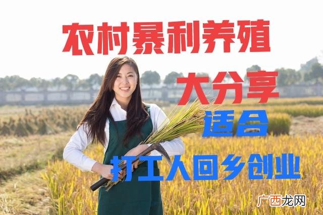 年轻人想在老家创业,在老家怎么创业