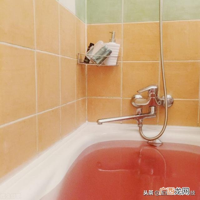 如今免费的致富加盟商机 万元创业招商加盟项目