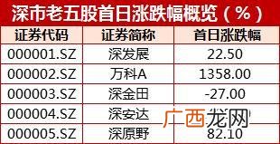 注册制创业板股票退市规则 创业板注册制新股竞价规则