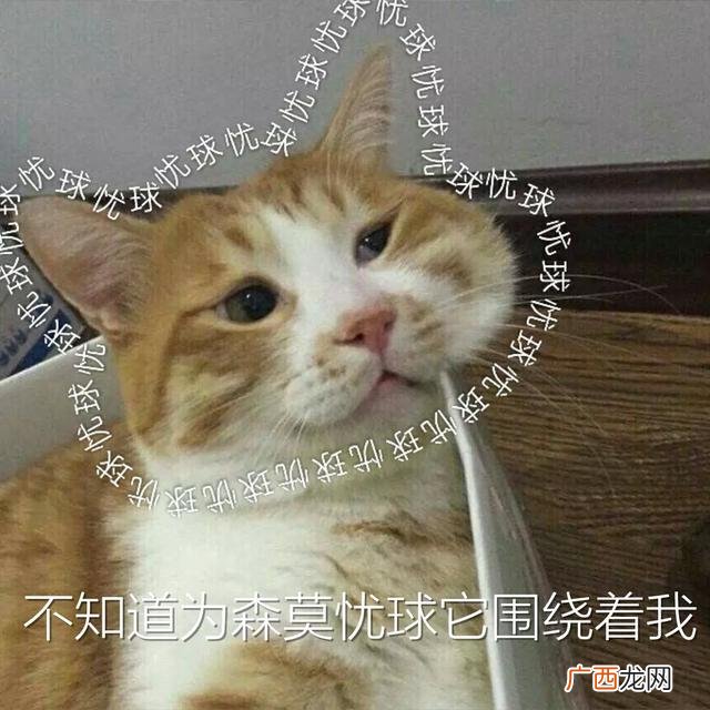 深圳创业印章门店,创业刻章店