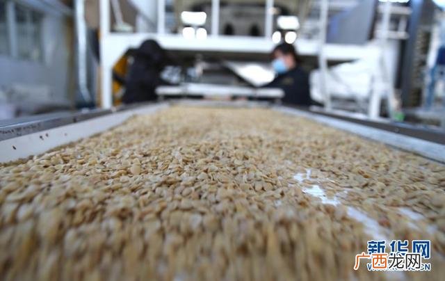 河北的饮料加工厂家在哪里,河北饮料代工最好的工厂