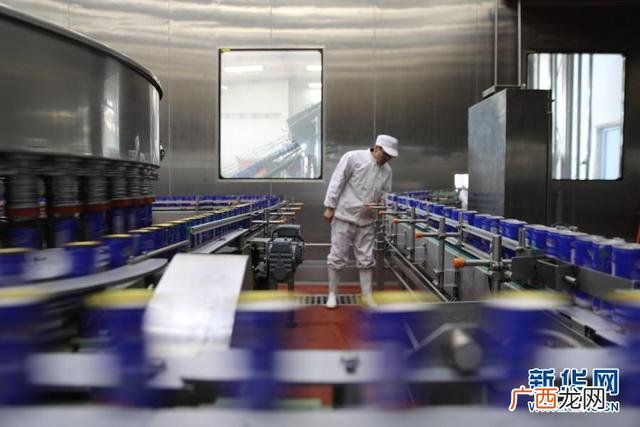 河北的饮料加工厂家在哪里,河北饮料代工最好的工厂