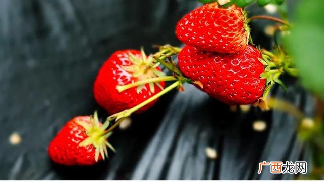 空间表现艺术作品100字 手工创意作品 小学生