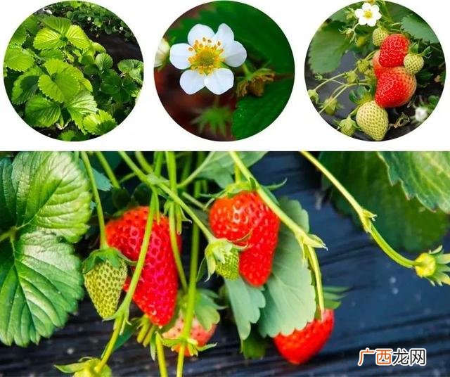 空间表现艺术作品100字 手工创意作品 小学生