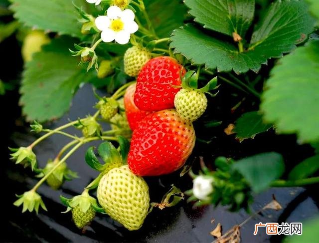 空间表现艺术作品100字 手工创意作品 小学生