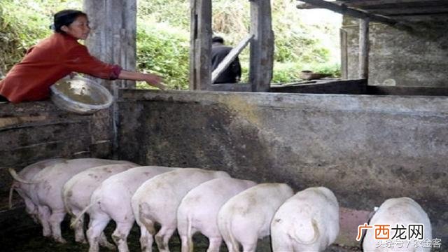 农村20万投资什么项目 30万元投资创业项目