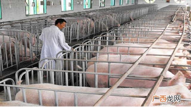 农村20万投资什么项目 30万元投资创业项目