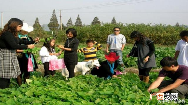 农村20万投资什么项目 30万元投资创业项目