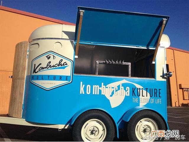 农村创业项目,小白领回家创业