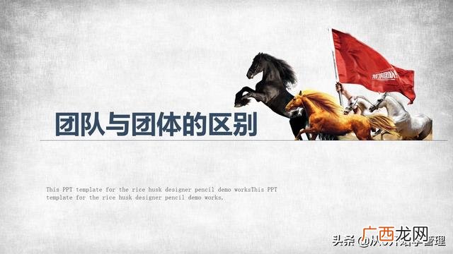 团队与群体的区别 创业团队四个基本素质
