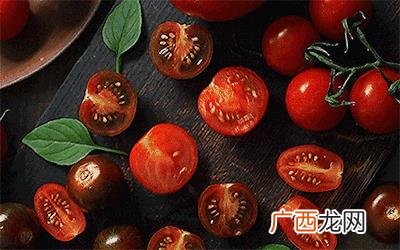 patchi巧克力,巧克力创业前途