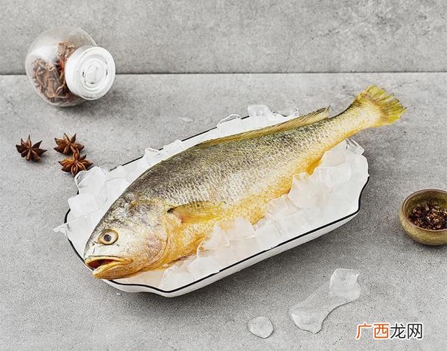 patchi巧克力,巧克力创业前途