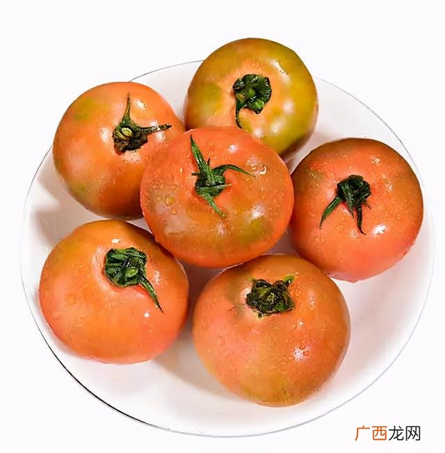 patchi巧克力,巧克力创业前途