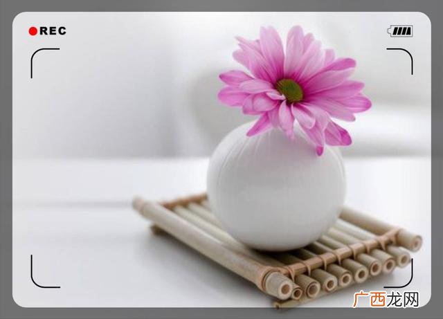 如何鼓励创业失败的人,第一次创业失败的说说