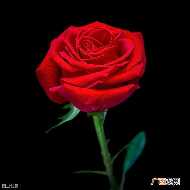 男朋友说随缘我该怎么回复,男朋友说随缘