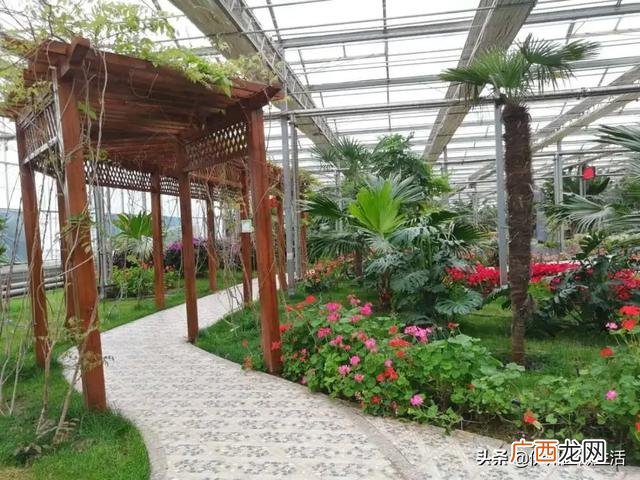 哈密国家现代农业园区 哈密创业小区到西戈壁