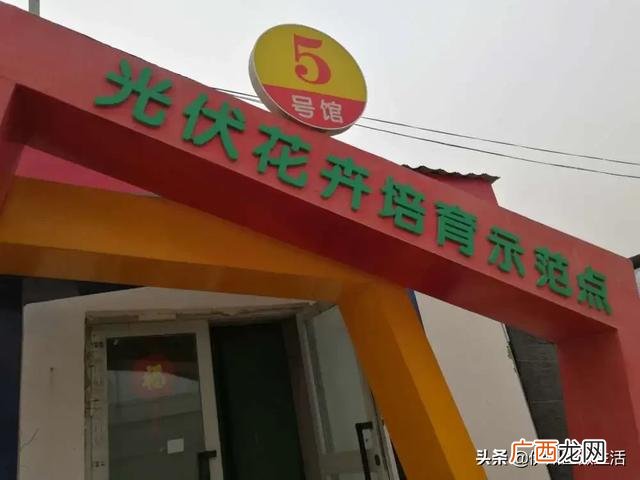 哈密国家现代农业园区 哈密创业小区到西戈壁