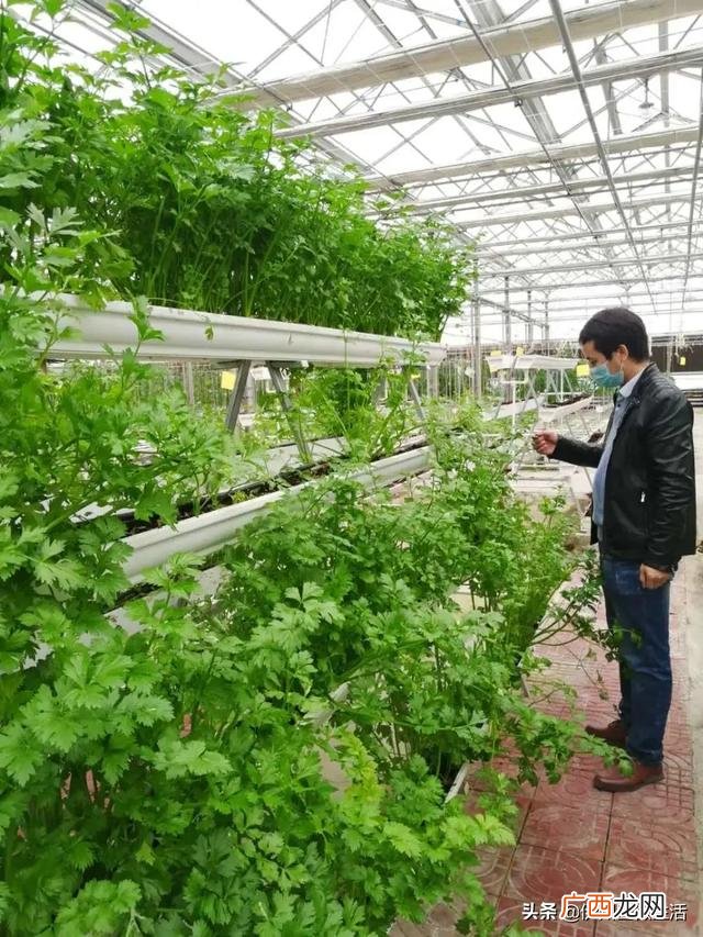 哈密国家现代农业园区 哈密创业小区到西戈壁