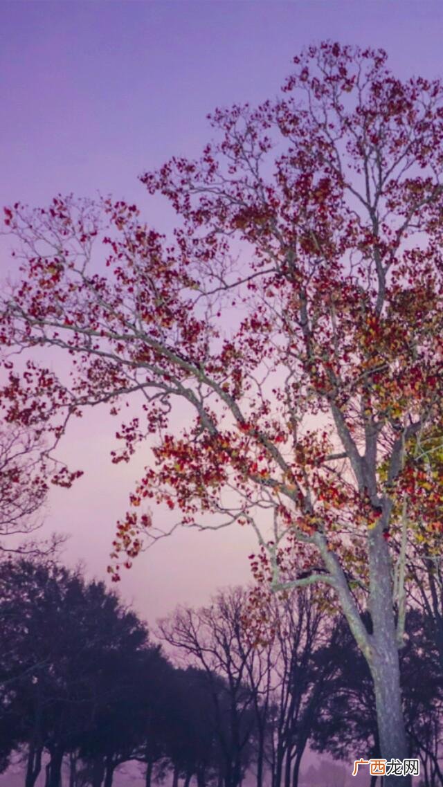 描写在异乡的诗句,异乡自创诗