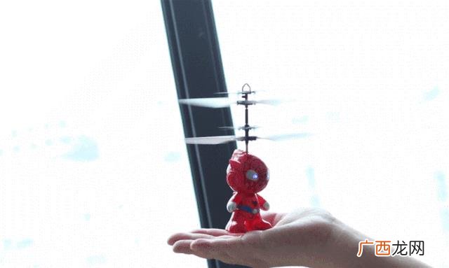 新手养什么比较挣钱,小资本创业