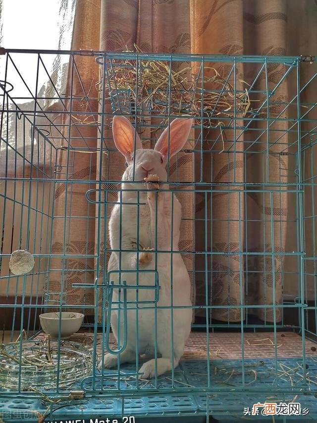 2017农村创业点子,2017年农村创业小项目