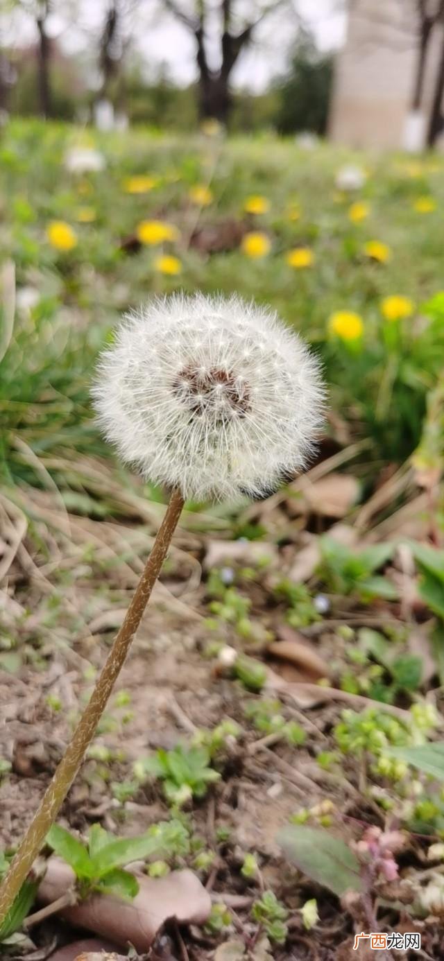 开公司股权分配方案,创业股权结构设计方案
