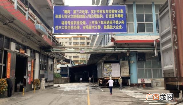 椰树牌椰汁为什么不上市,送椰汁是什么意思