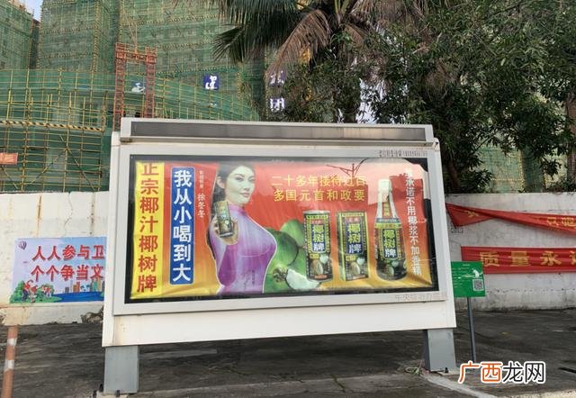 椰树牌椰汁为什么不上市,送椰汁是什么意思