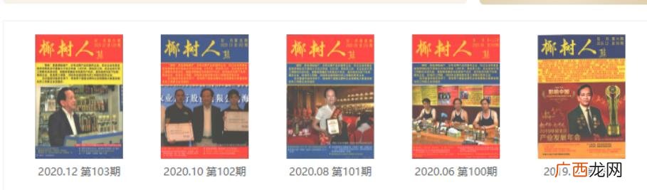 椰树牌椰汁为什么不上市,送椰汁是什么意思