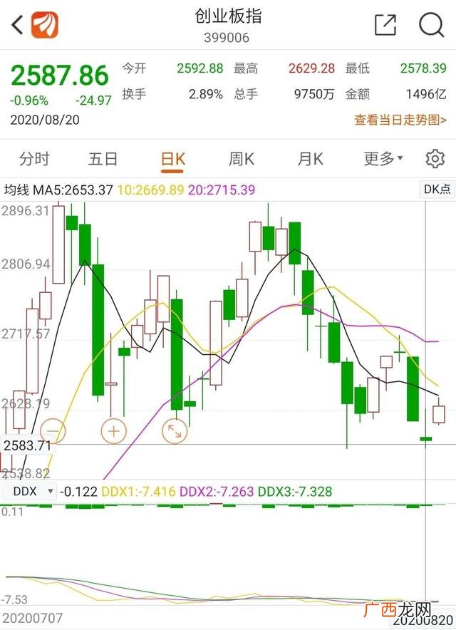 创业板新规 创业板上市公司信息披露