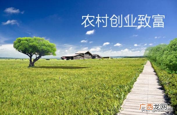 创业,农业创业的机会