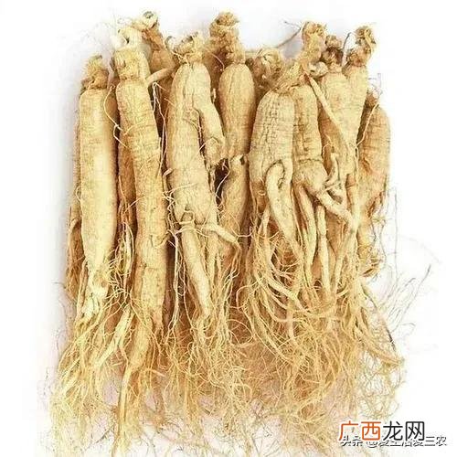现在种植什么药材比较有前景,农村可以种植什么药材