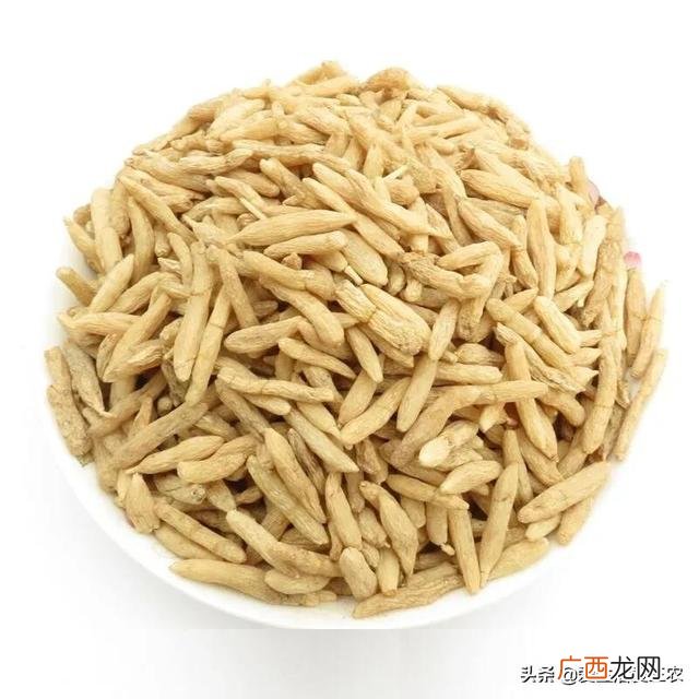 现在种植什么药材比较有前景,农村可以种植什么药材
