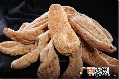现在种植什么药材比较有前景,农村可以种植什么药材