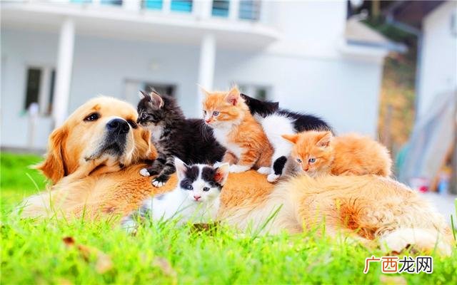 有潜力的生意,未来好的买卖创业