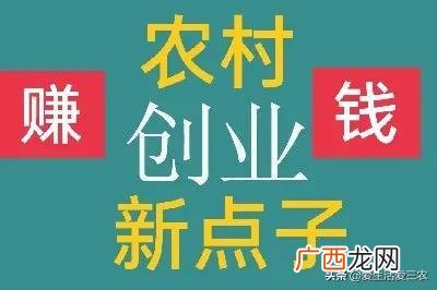 创新点子 创新创业的点子500字