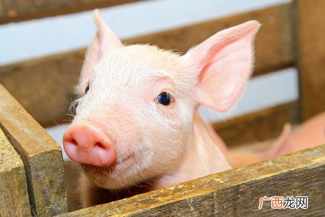 建10亩农场投资多钱 10亩地适合干什么项目