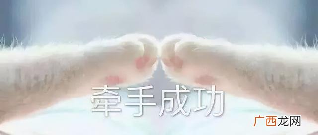 挣了几个亿 一个失忆 两个亿的项目表情包