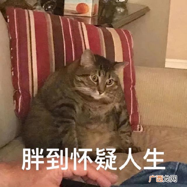 挣了几个亿 一个失忆 两个亿的项目表情包
