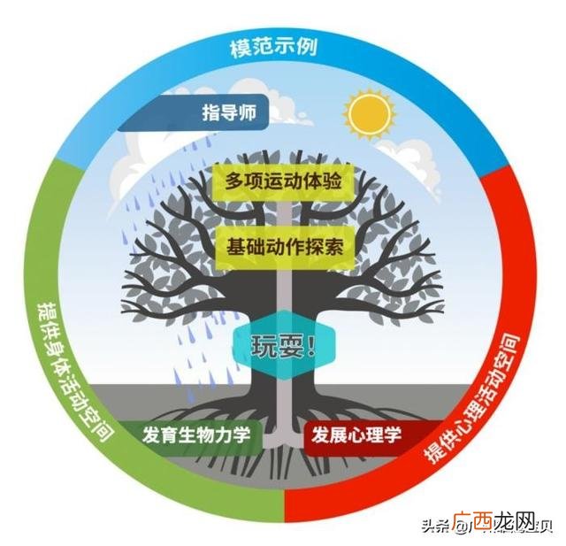 少儿体适能图片,少儿体适能发展前景论文