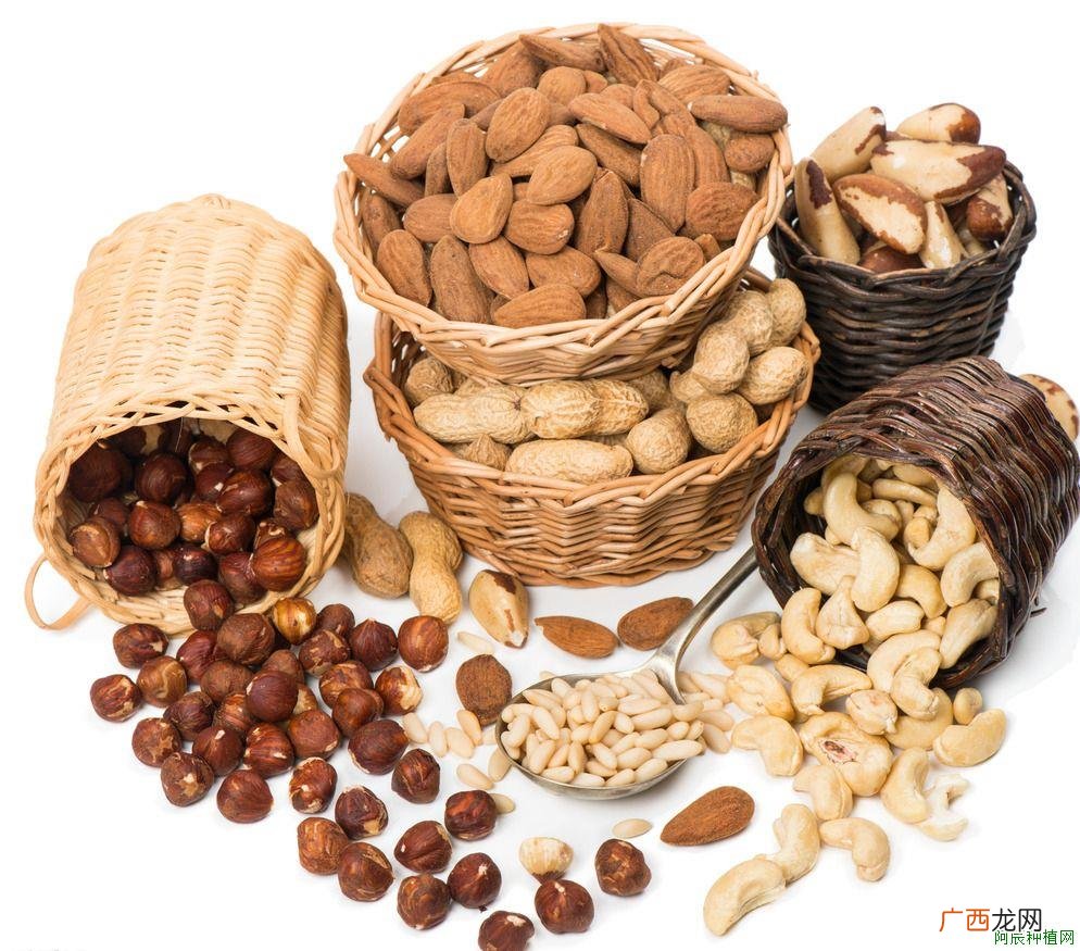 尖尾芋怎么养？尖尾芋的养殖方法