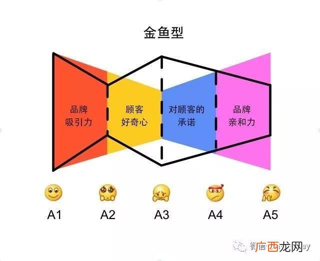 科特勒的刺激反应模式,刺激―反应模式理论