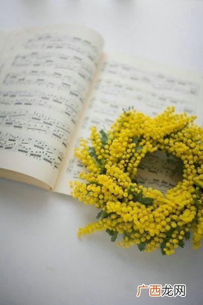 看不上的俏皮话,俏皮话经典