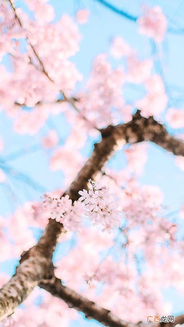 看不上的俏皮话,俏皮话经典