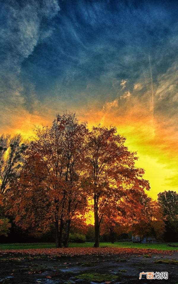 看不上的俏皮话,俏皮话经典