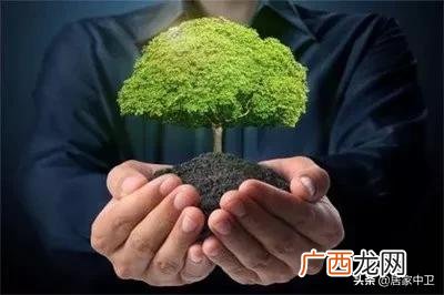 中宁县就业创业和人才服务局在哪,就业与创业服务局
