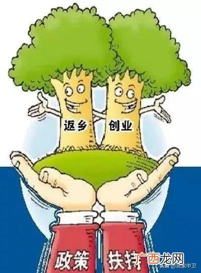 中宁县就业创业和人才服务局在哪,就业与创业服务局
