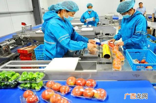 农产品初加工与深加工 农副产品深加工项目的可行性
