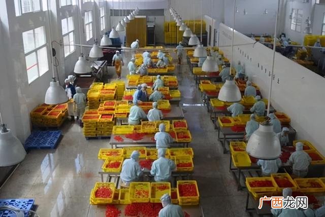 农产品初加工与深加工 农副产品深加工项目的可行性