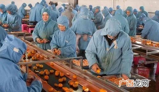 农产品初加工与深加工 农副产品深加工项目的可行性